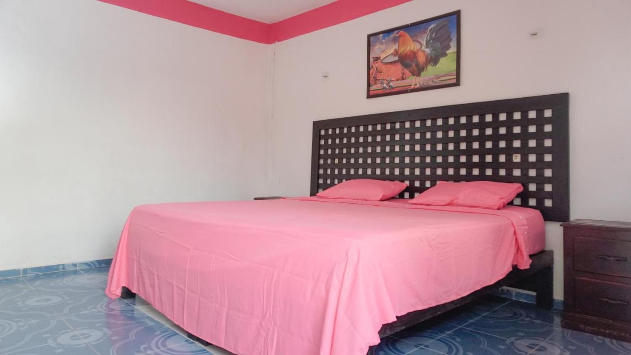 Hotel D'Concepcion Tizimín Extérieur photo